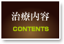 治療内容